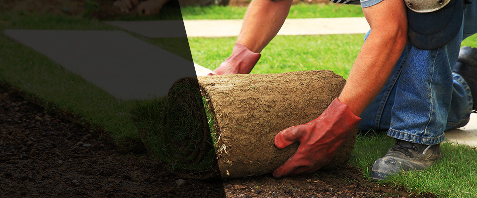 Spicer Landscapers